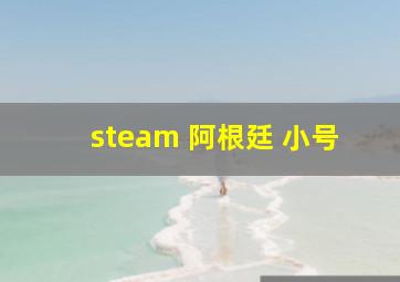 steam 阿根廷 小号